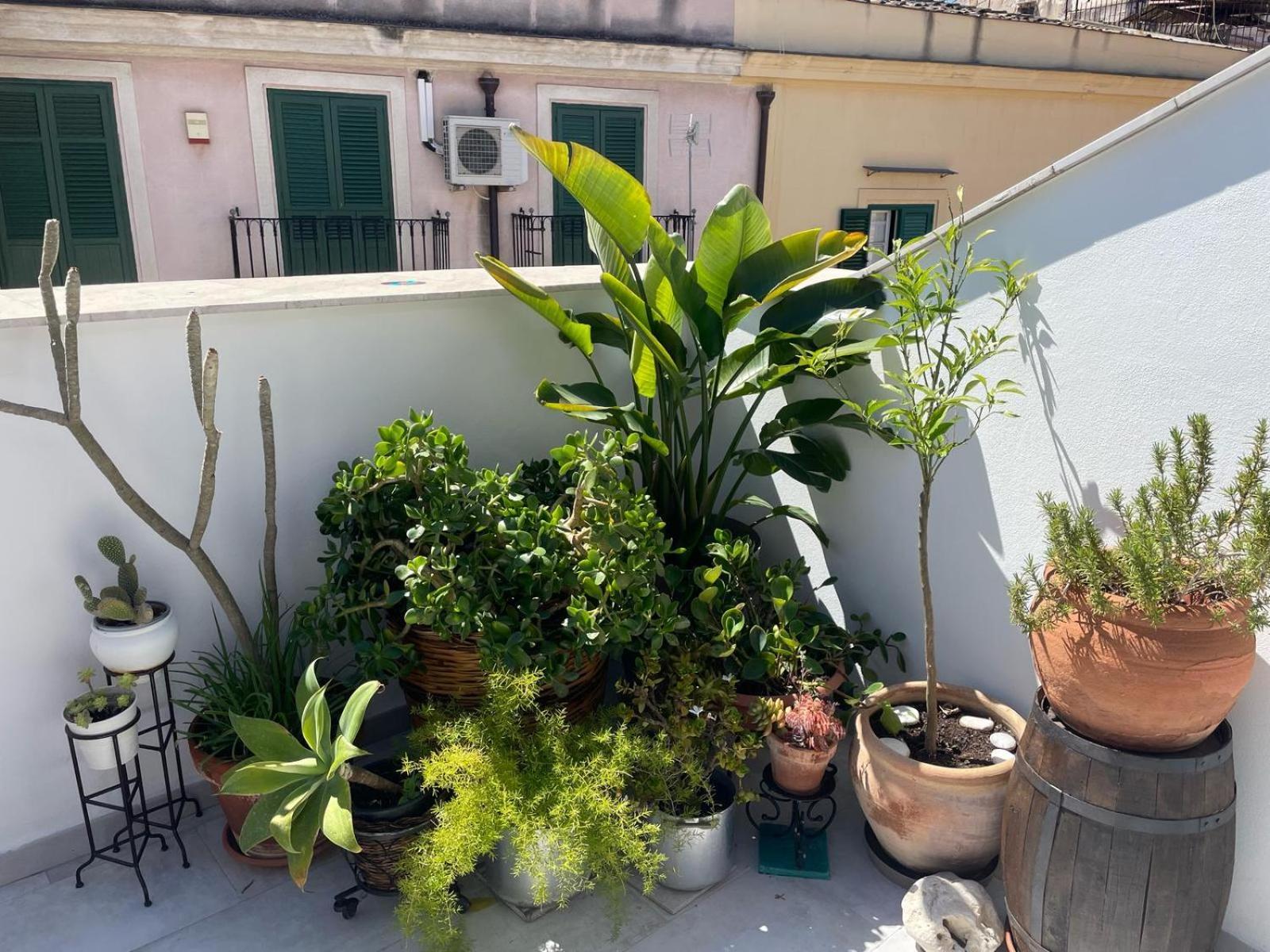 Terrazza Alla Cala Palermo Luaran gambar